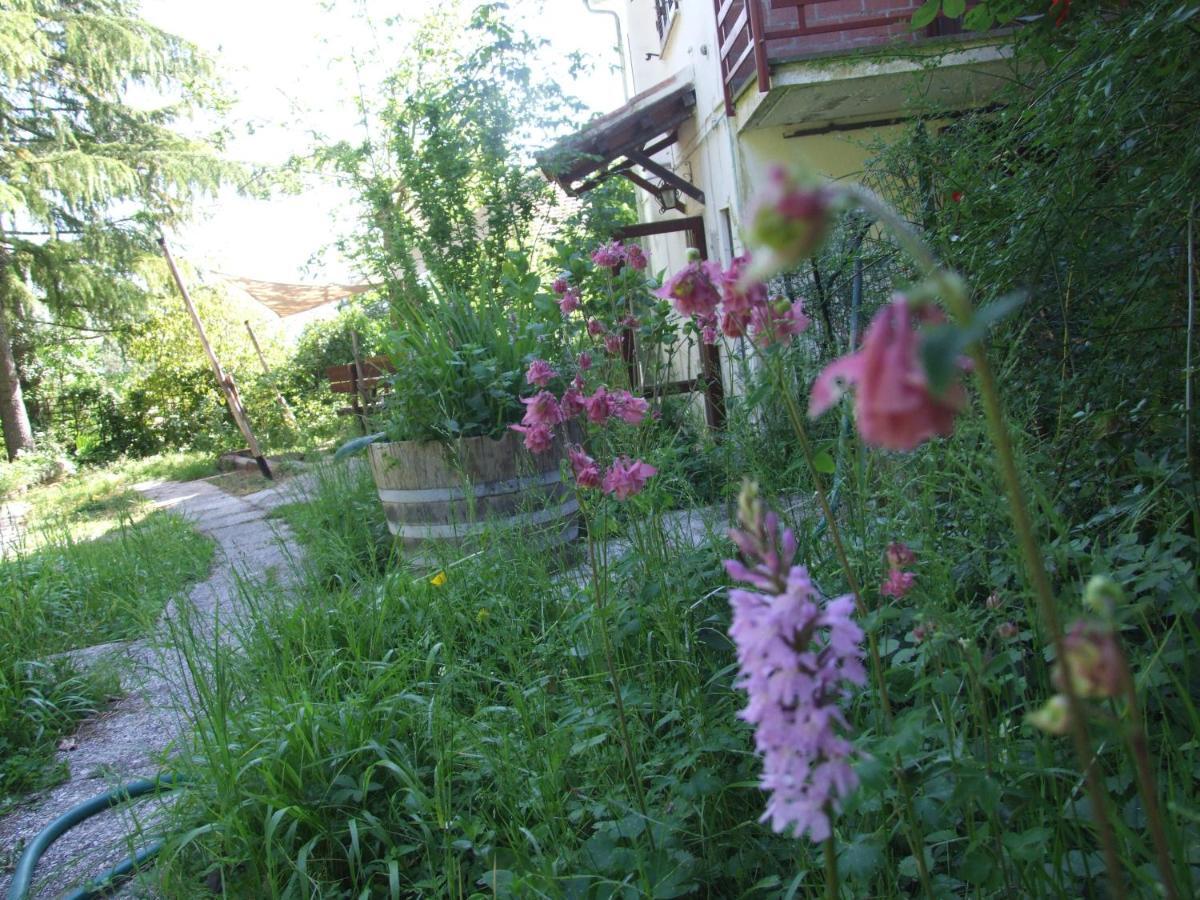 Vacanze Toscane In The Country - Villa Agrifogli サッセッタ エクステリア 写真