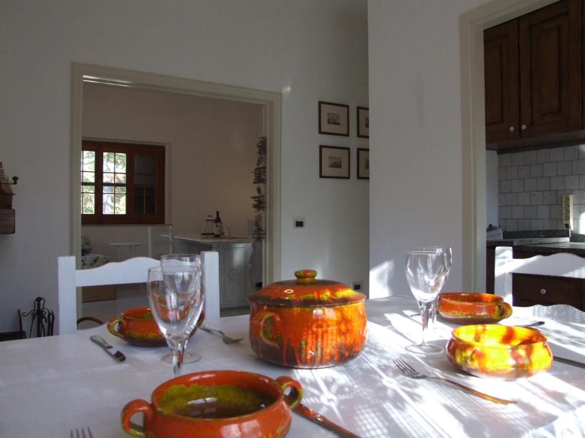 Vacanze Toscane In The Country - Villa Agrifogli サッセッタ エクステリア 写真