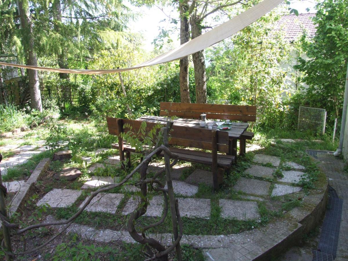 Vacanze Toscane In The Country - Villa Agrifogli サッセッタ エクステリア 写真
