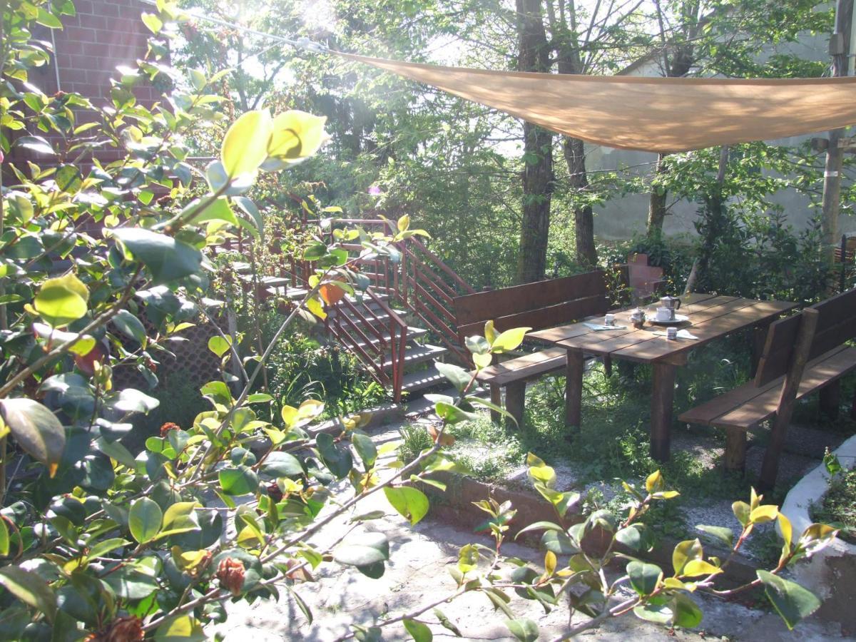 Vacanze Toscane In The Country - Villa Agrifogli サッセッタ エクステリア 写真