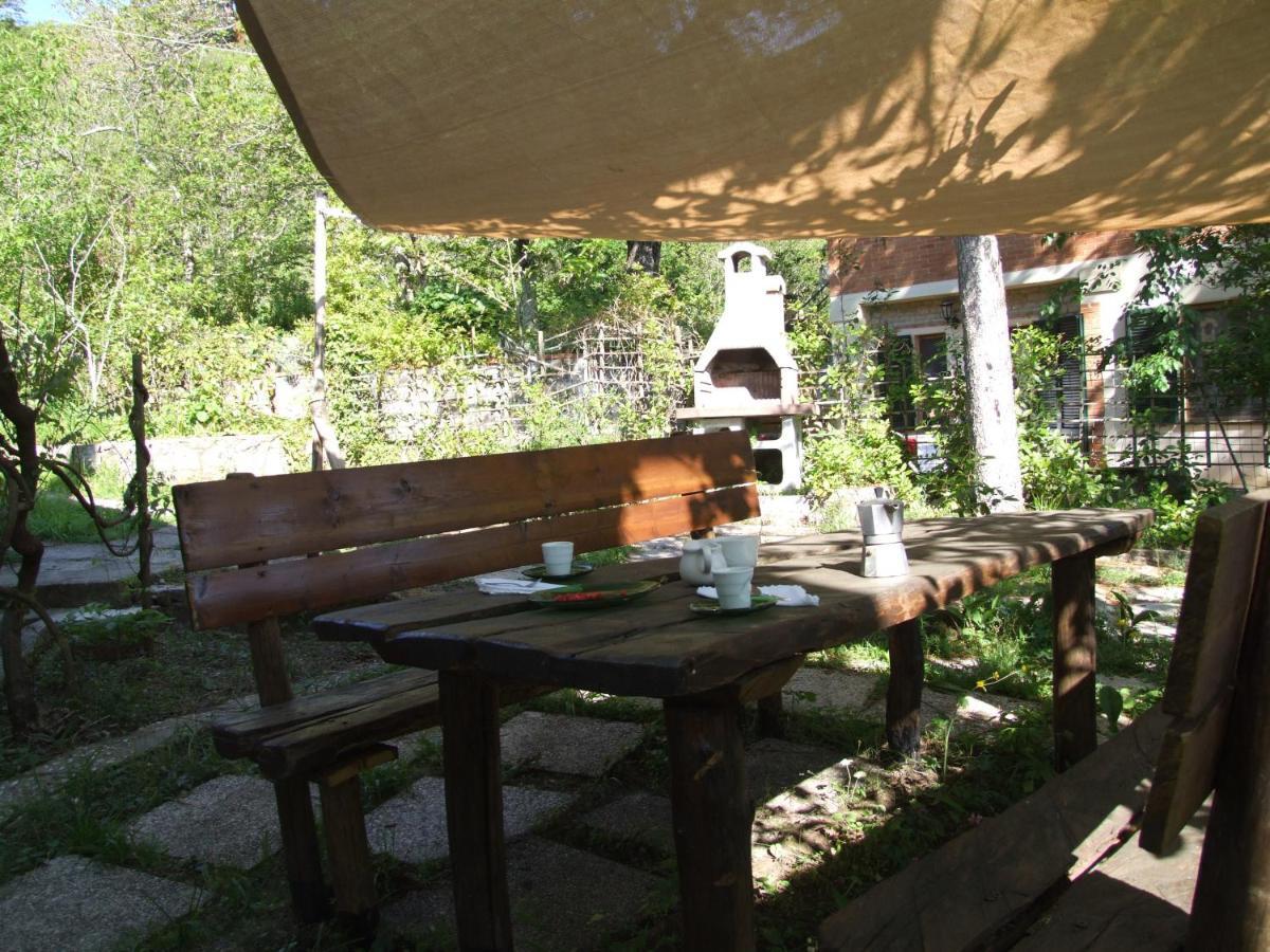 Vacanze Toscane In The Country - Villa Agrifogli サッセッタ エクステリア 写真