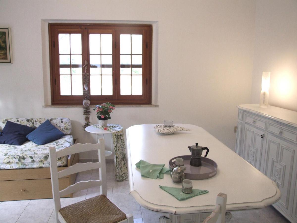 Vacanze Toscane In The Country - Villa Agrifogli サッセッタ エクステリア 写真