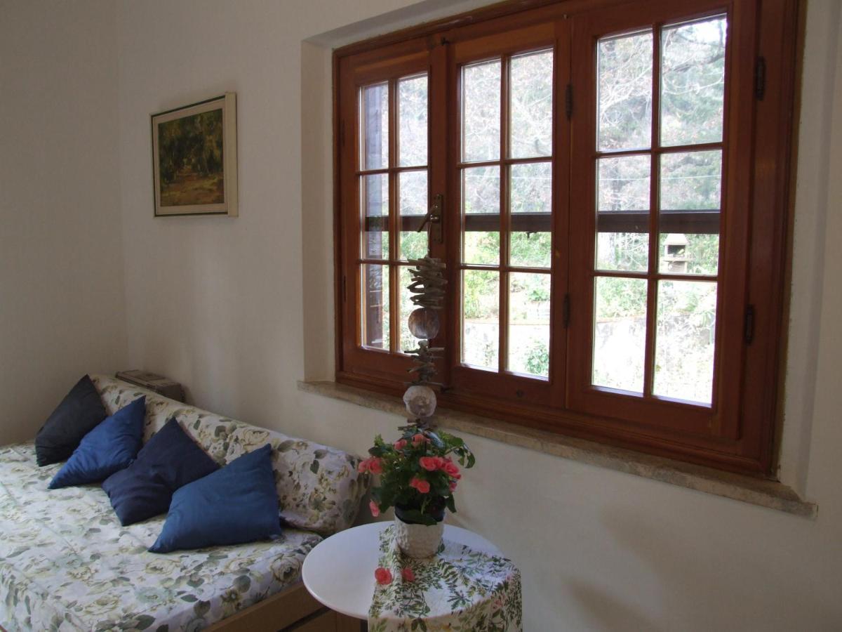 Vacanze Toscane In The Country - Villa Agrifogli サッセッタ エクステリア 写真