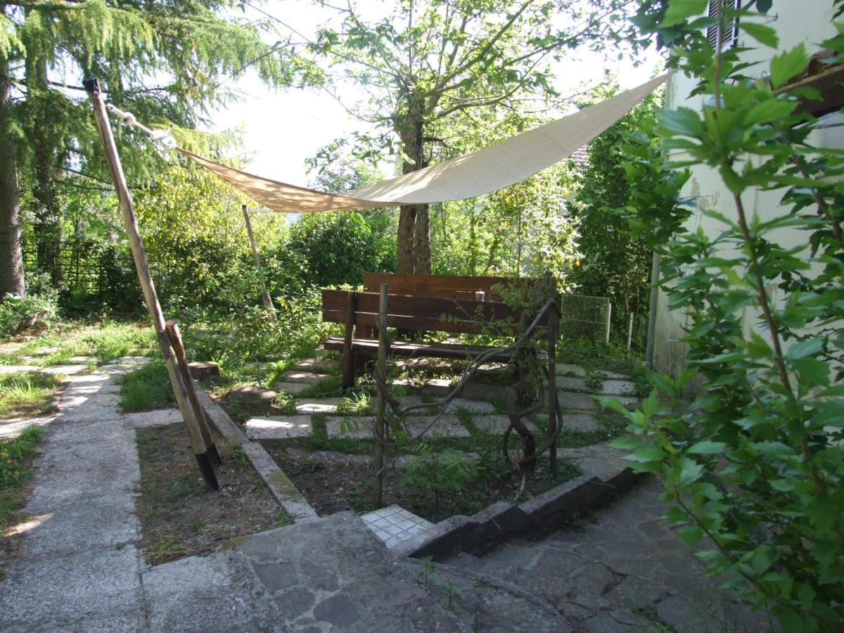Vacanze Toscane In The Country - Villa Agrifogli サッセッタ エクステリア 写真