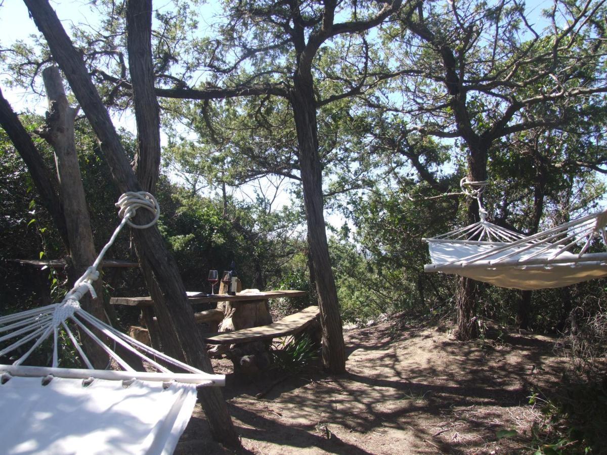 Vacanze Toscane In The Country - Villa Agrifogli サッセッタ エクステリア 写真