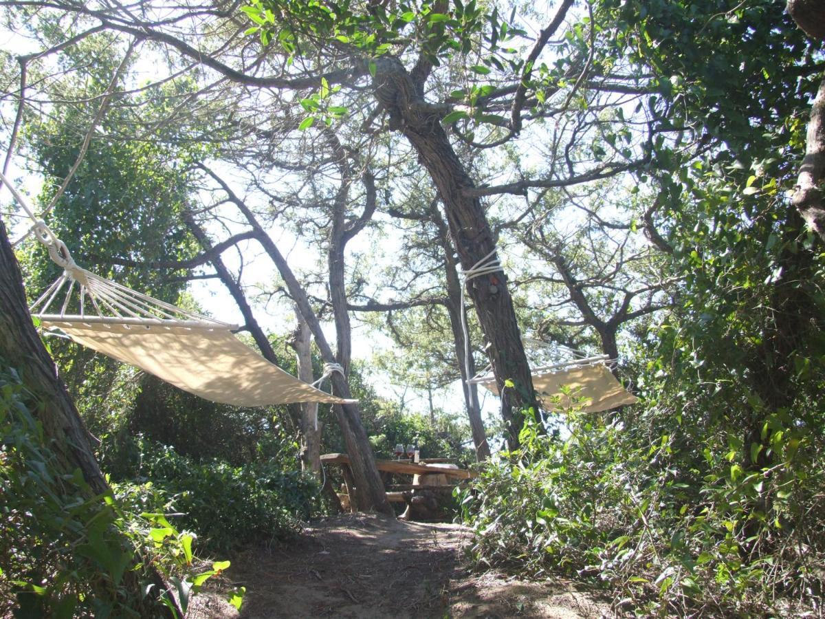 Vacanze Toscane In The Country - Villa Agrifogli サッセッタ エクステリア 写真