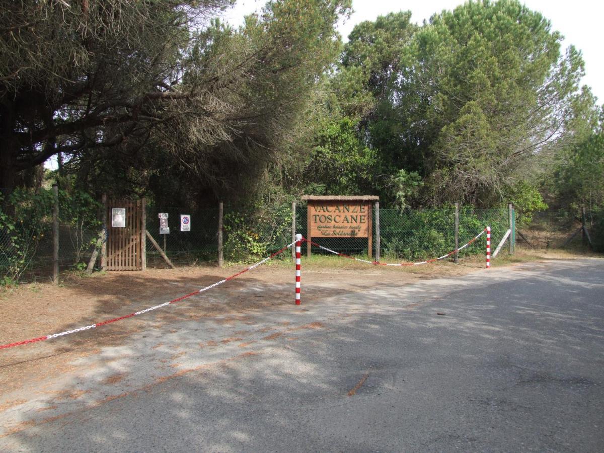 Vacanze Toscane In The Country - Villa Agrifogli サッセッタ エクステリア 写真